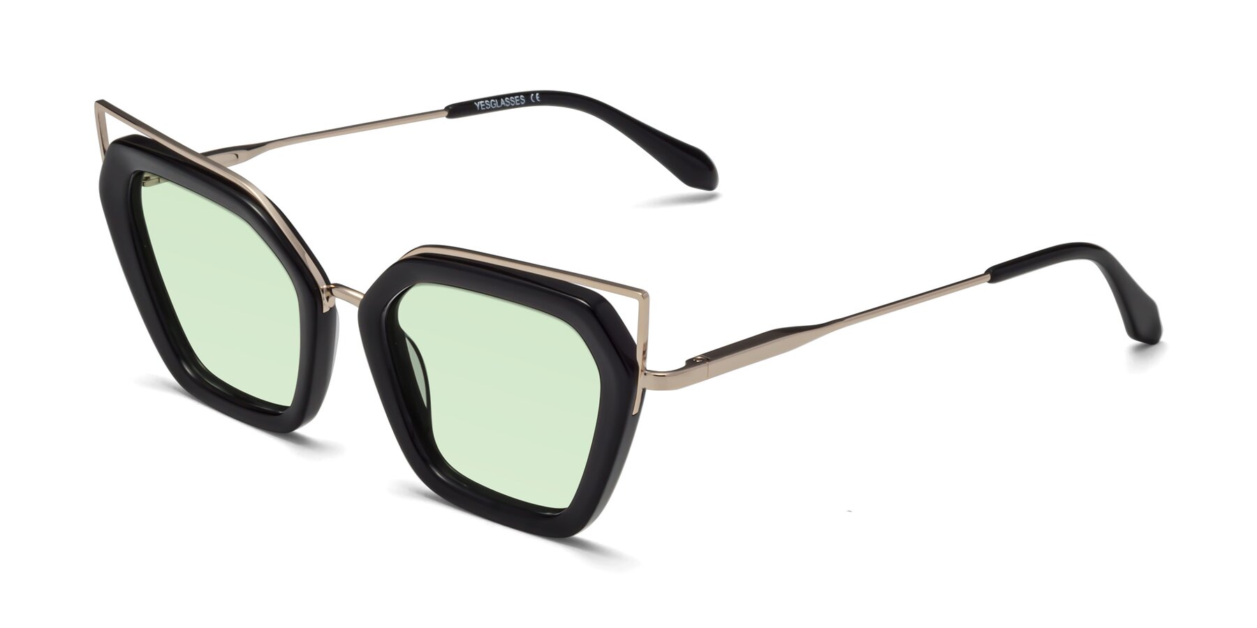 Angle of Delmonte in Black with Light Green Tinted Lenses