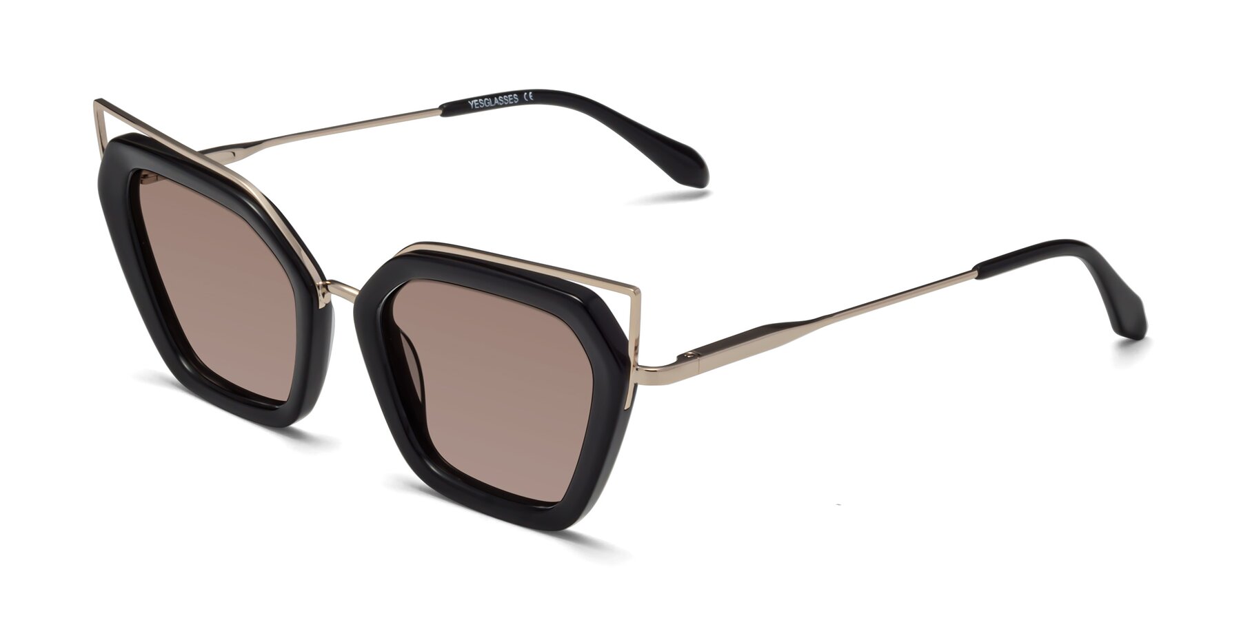 Angle of Delmonte in Black with Medium Brown Tinted Lenses