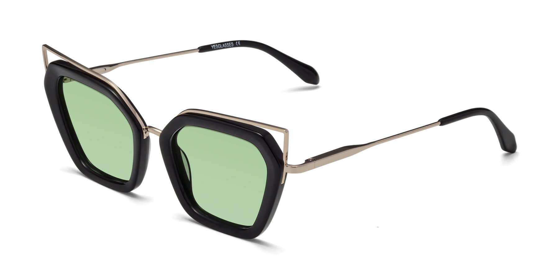 Angle of Delmonte in Black with Medium Green Tinted Lenses