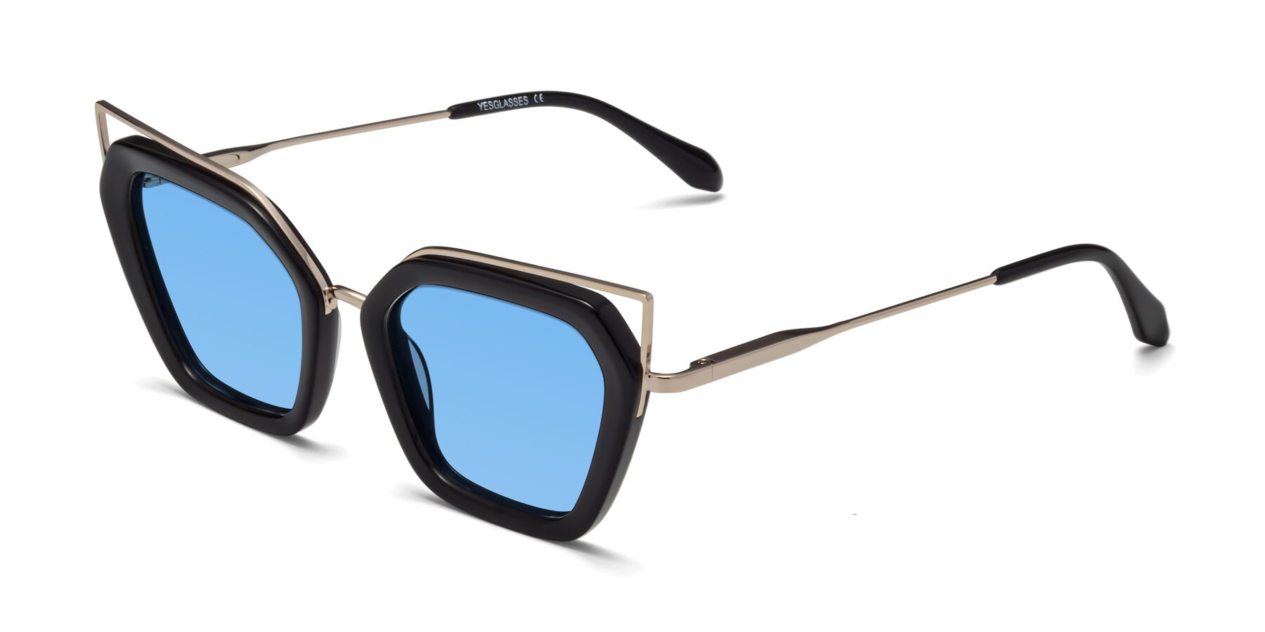 Angle of Delmonte in Black with Medium Blue Tinted Lenses