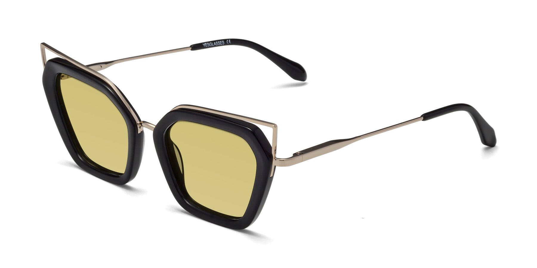 Angle of Delmonte in Black with Medium Champagne Tinted Lenses