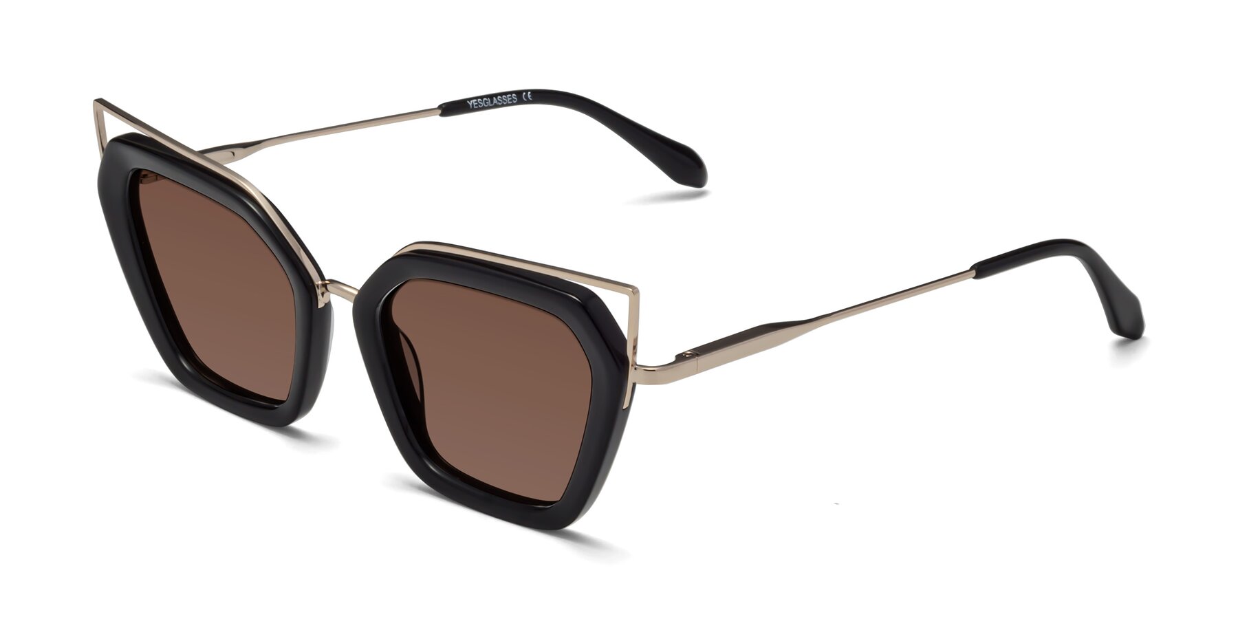 Angle of Delmonte in Black with Brown Tinted Lenses