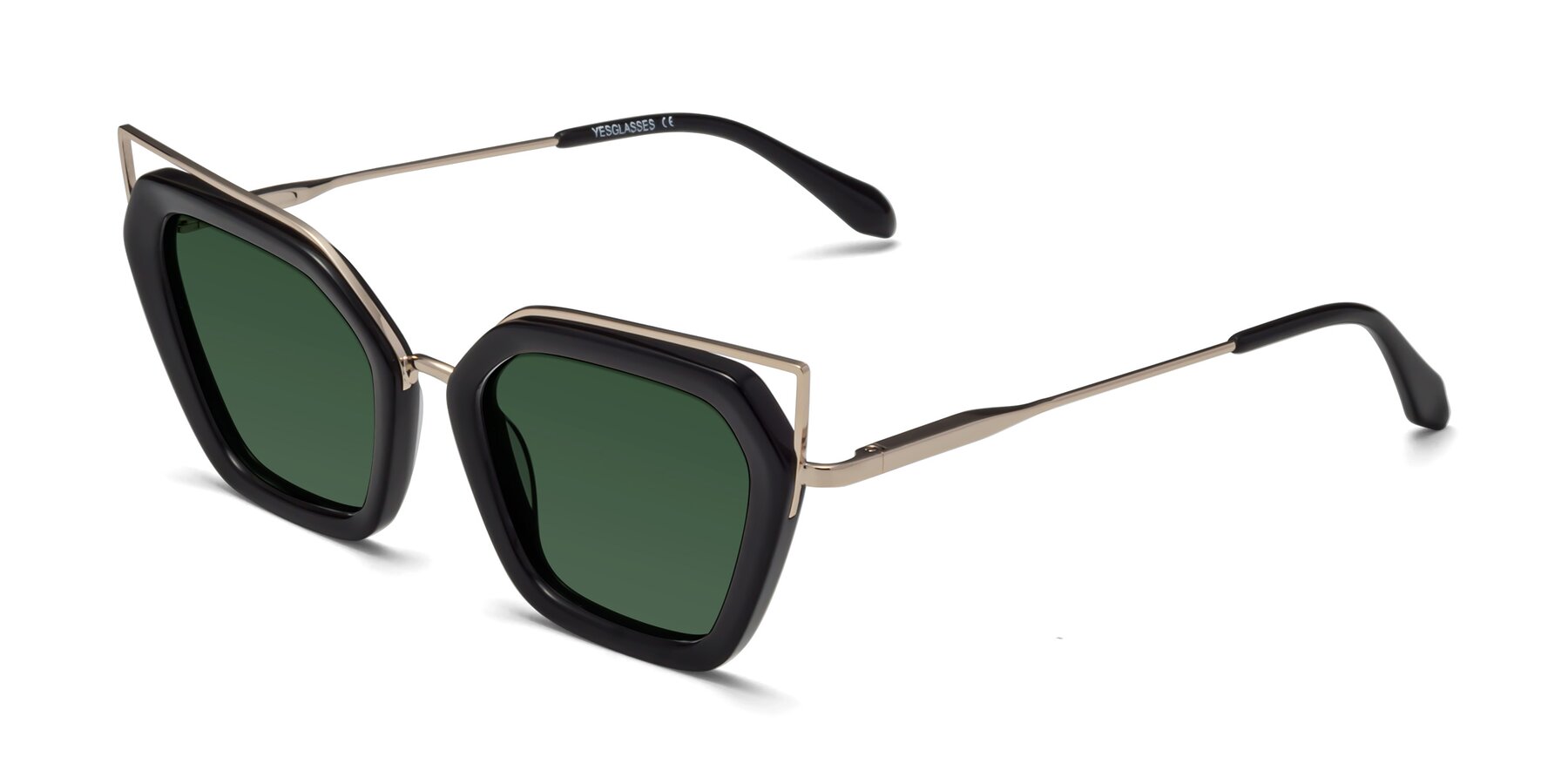 Angle of Delmonte in Black with Green Tinted Lenses