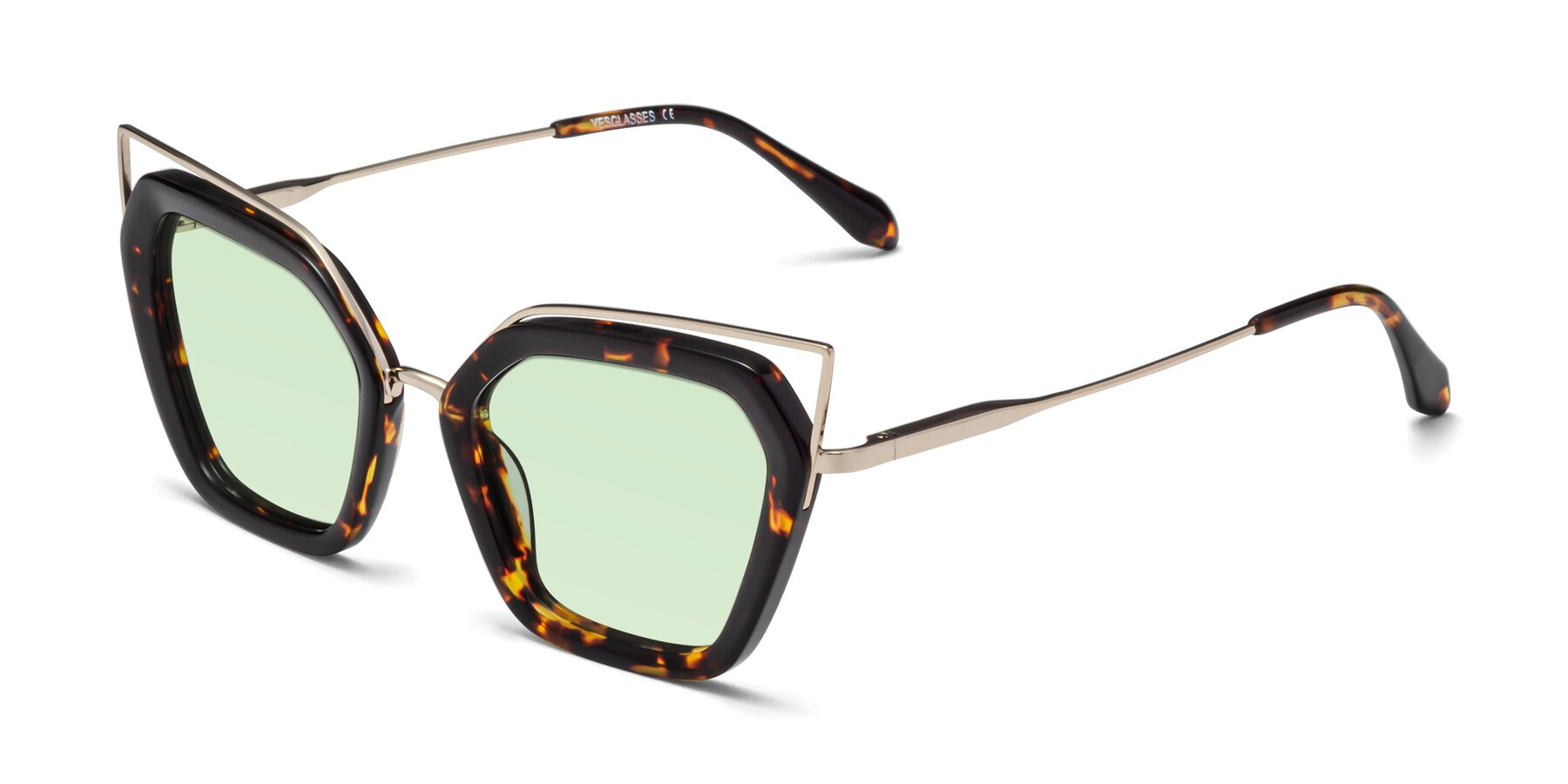 Angle of Delmonte in Tortoise with Light Green Tinted Lenses