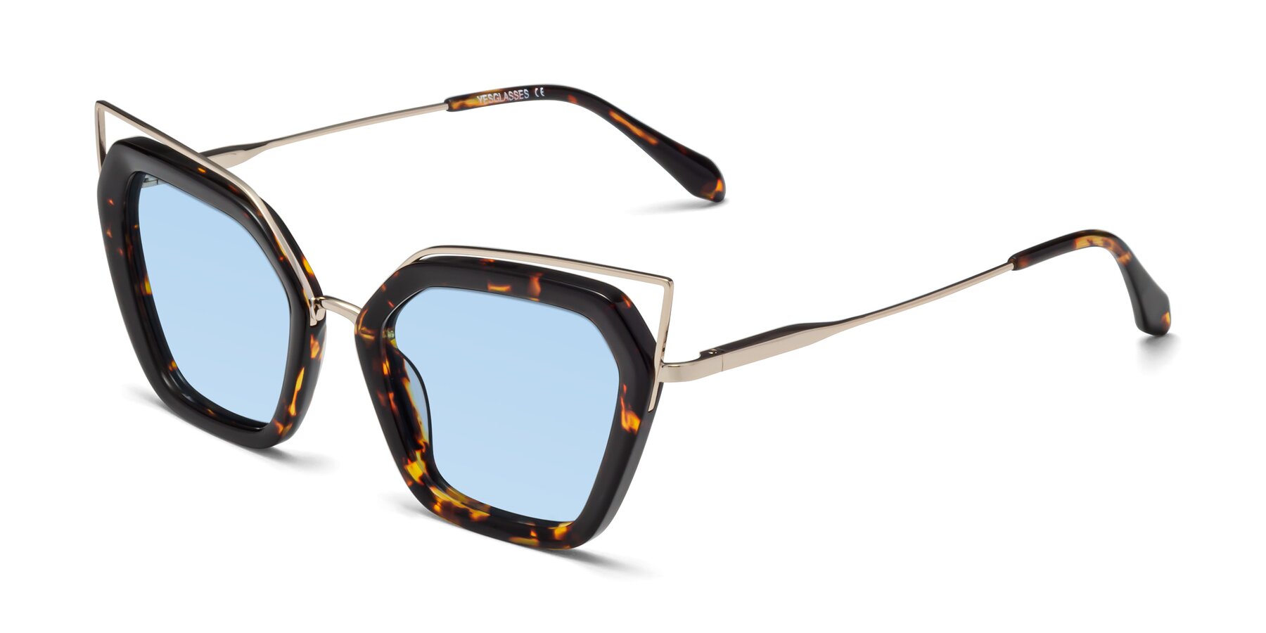 Angle of Delmonte in Tortoise with Light Blue Tinted Lenses