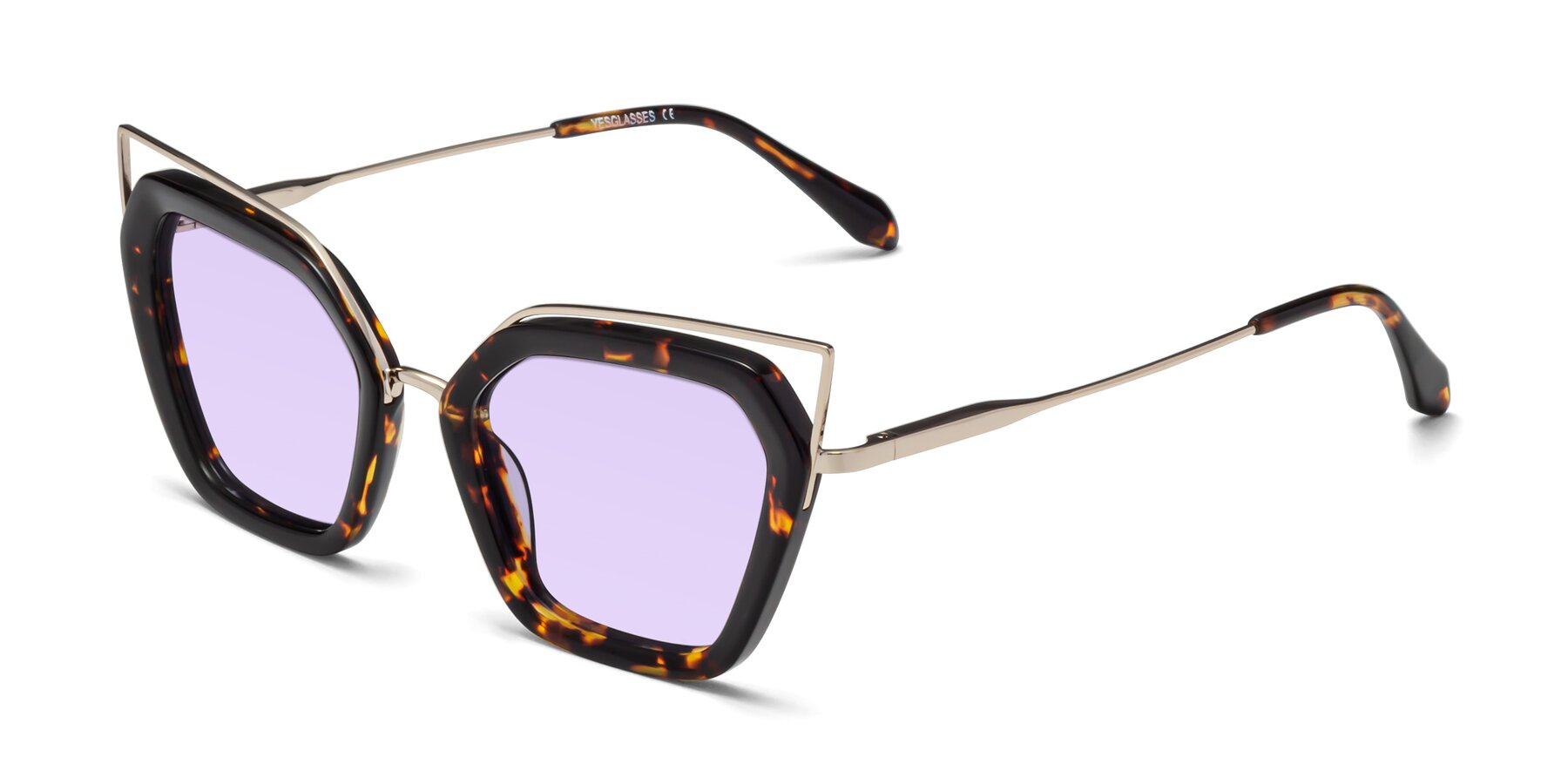 Angle of Delmonte in Tortoise with Light Purple Tinted Lenses