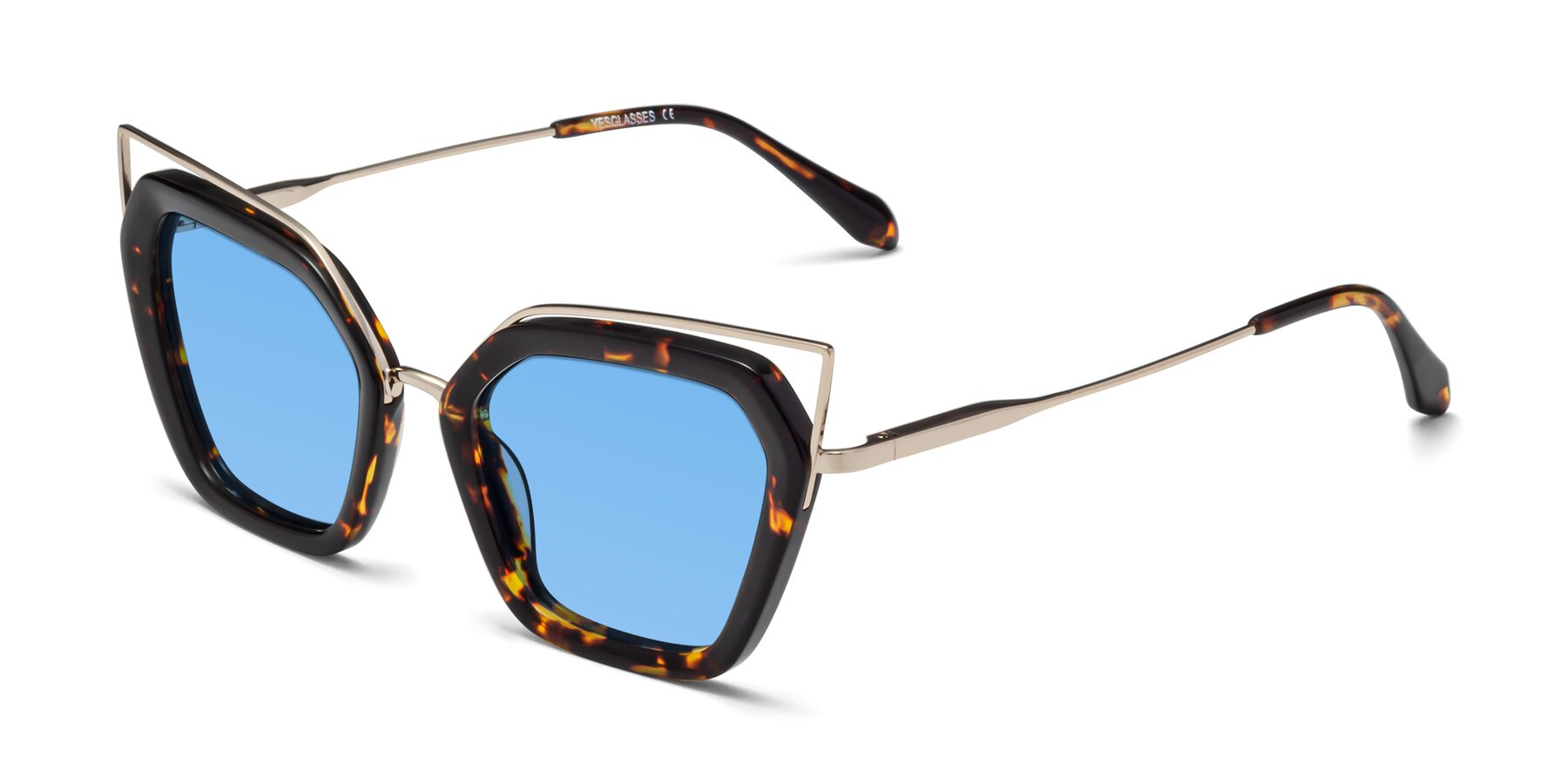 Angle of Delmonte in Tortoise with Medium Blue Tinted Lenses