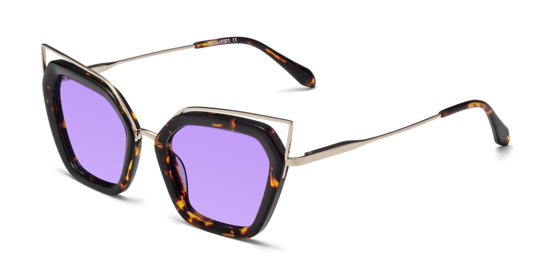 Angle of Delmonte in Tortoise with Medium Purple Tinted Lenses