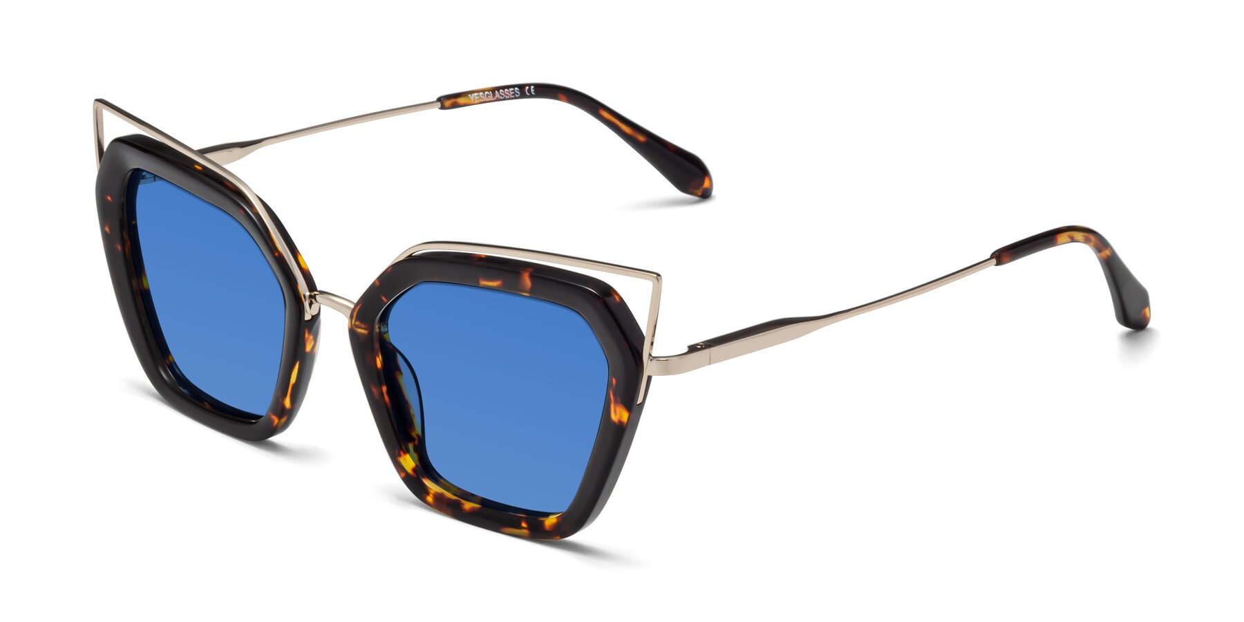 Angle of Delmonte in Tortoise with Blue Tinted Lenses