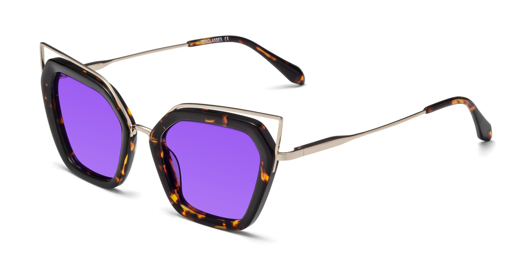Angle of Delmonte in Tortoise with Purple Tinted Lenses