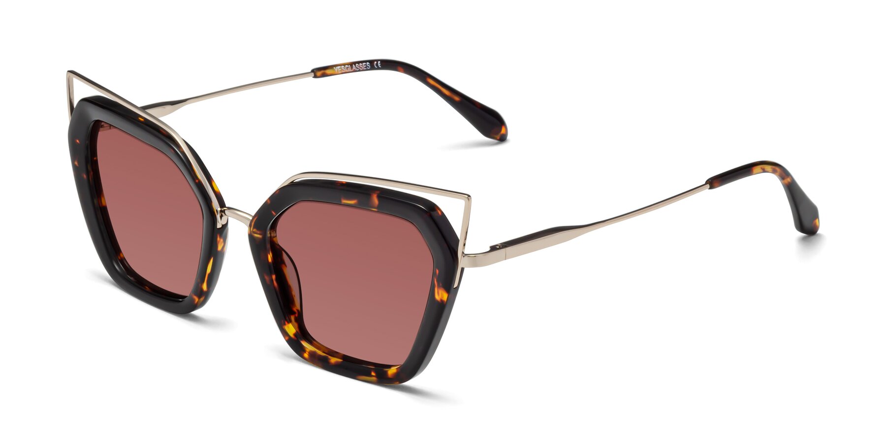 Angle of Delmonte in Tortoise with Garnet Tinted Lenses