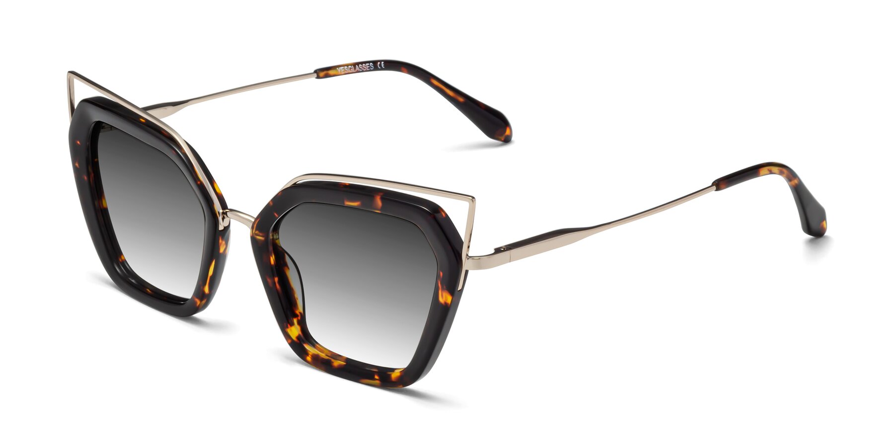 Angle of Delmonte in Tortoise with Gray Gradient Lenses