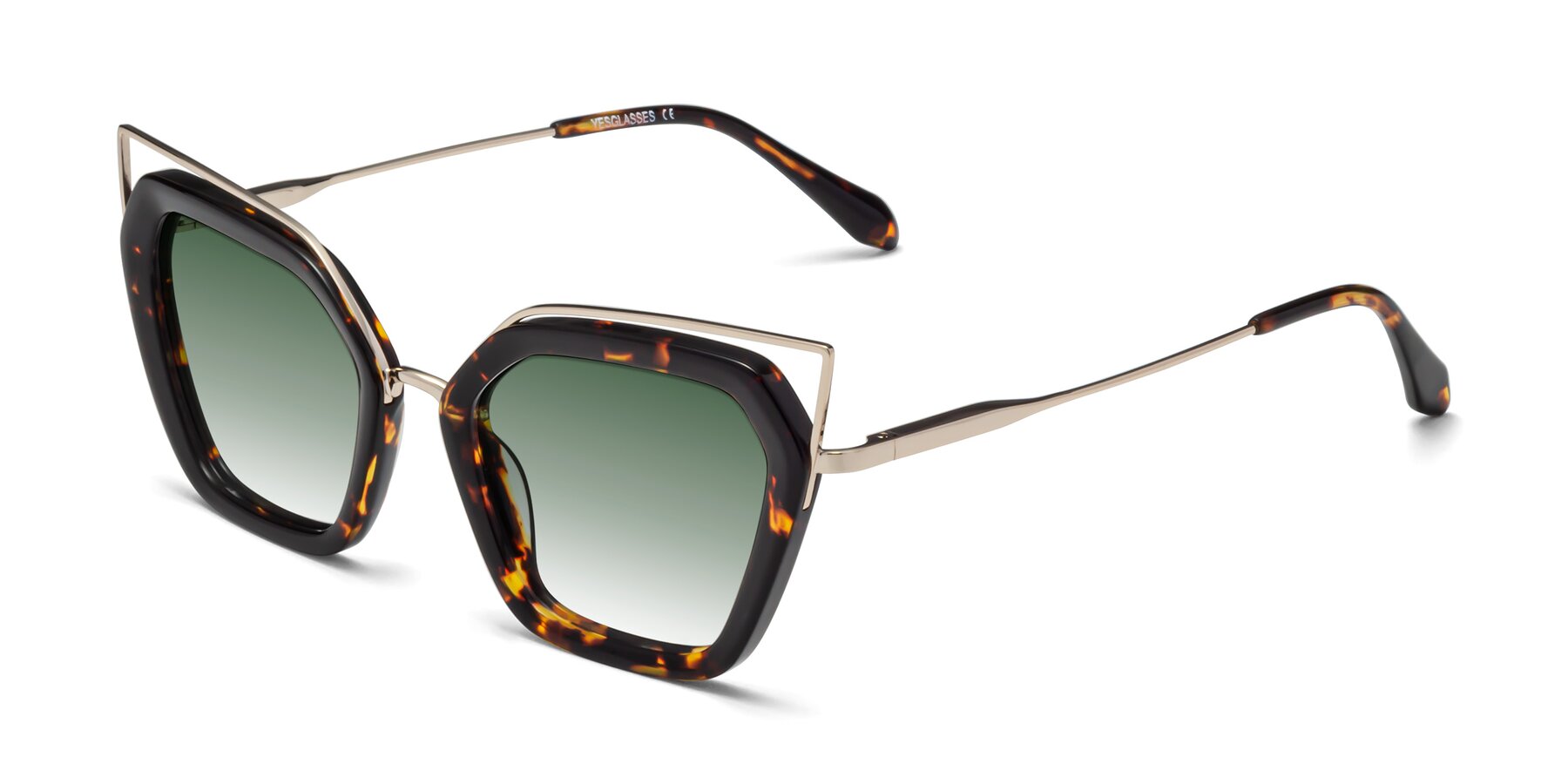 Angle of Delmonte in Tortoise with Green Gradient Lenses
