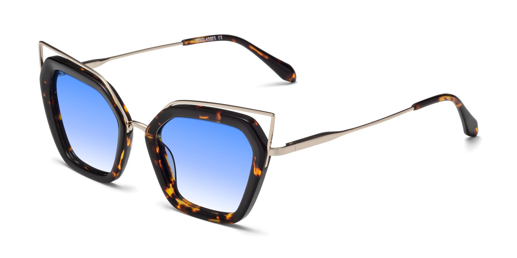 Angle of Delmonte in Tortoise with Blue Gradient Lenses