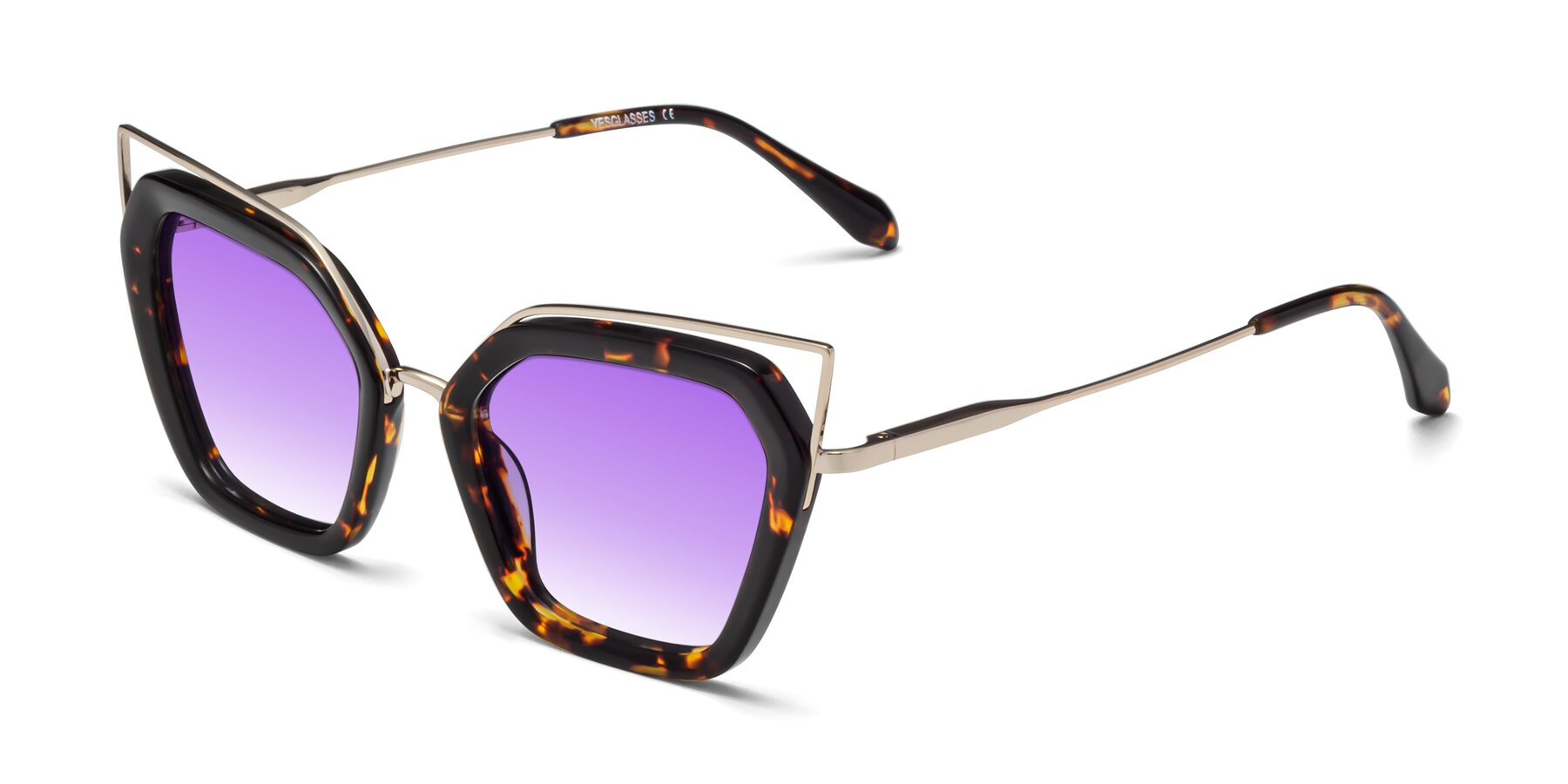 Angle of Delmonte in Tortoise with Purple Gradient Lenses