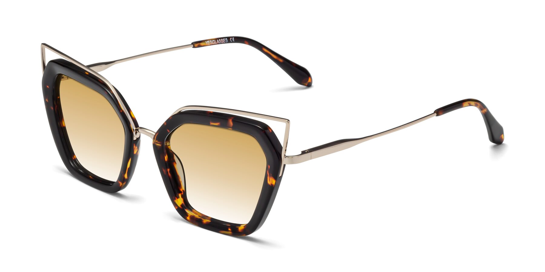 Angle of Delmonte in Tortoise with Champagne Gradient Lenses