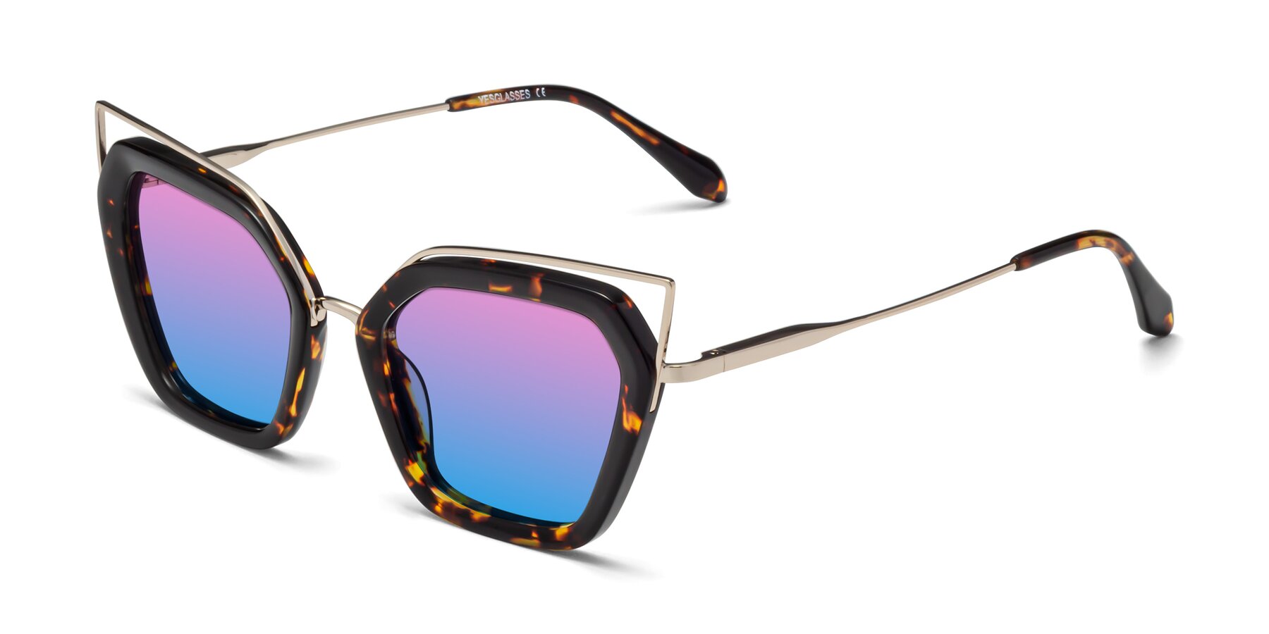 Angle of Delmonte in Tortoise with Pink / Blue Gradient Lenses