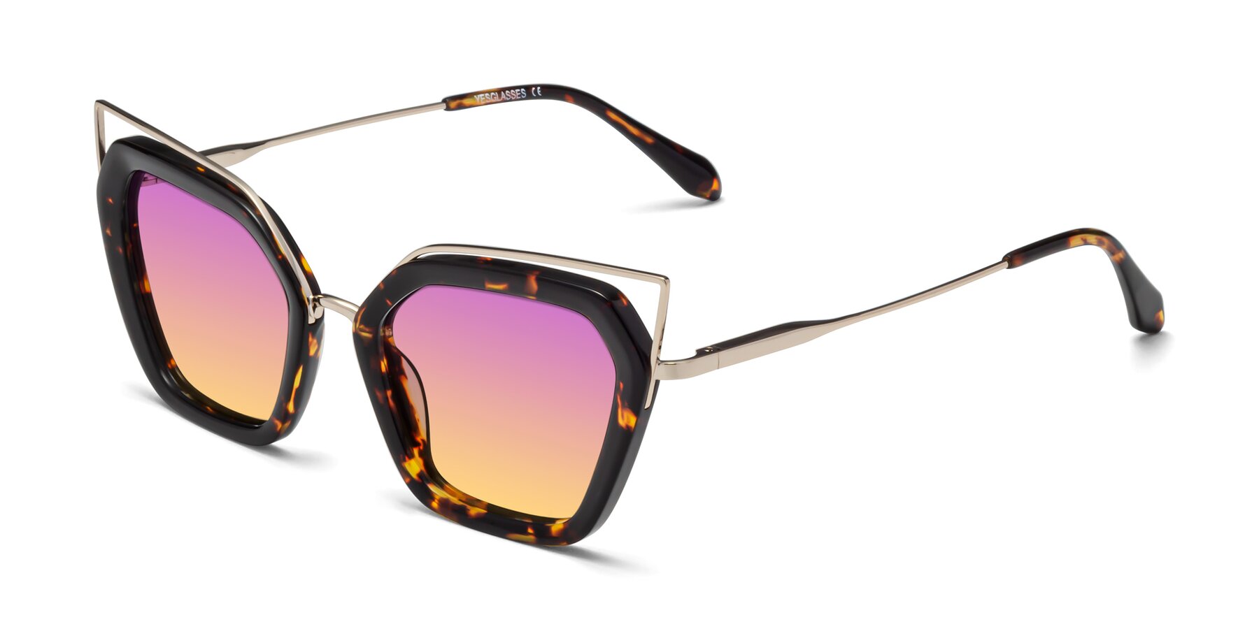 Angle of Delmonte in Tortoise with Purple / Yellow Gradient Lenses