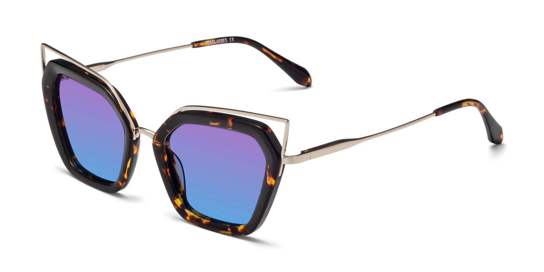 Angle of Delmonte in Tortoise with Purple / Blue Gradient Lenses