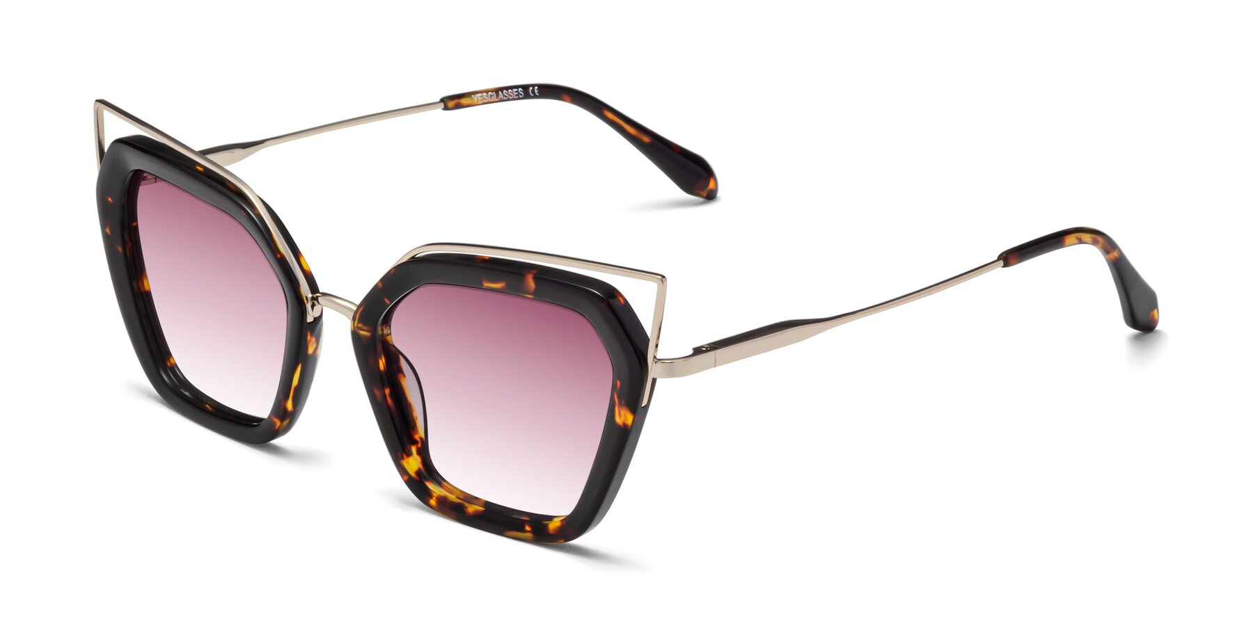 Angle of Delmonte in Tortoise with Wine Gradient Lenses