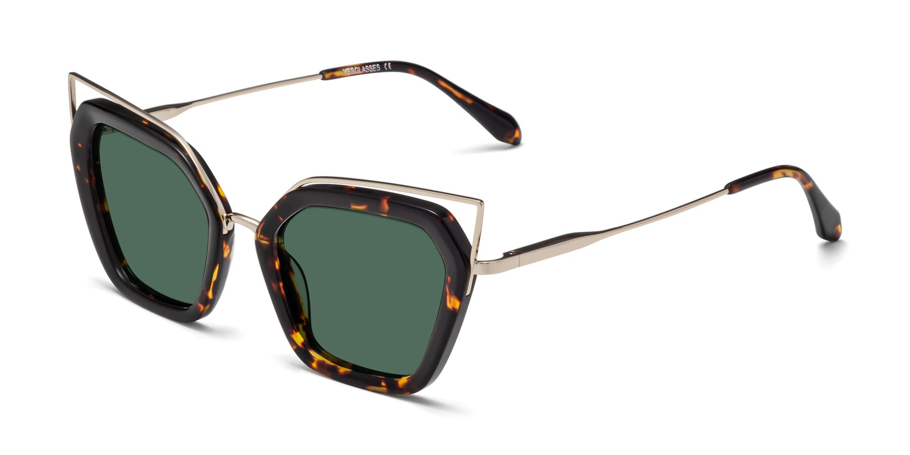 Angle of Delmonte in Tortoise with Green Polarized Lenses