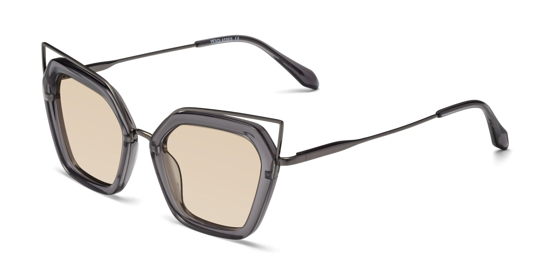 Angle of Delmonte in Transparent Gray with Light Brown Tinted Lenses