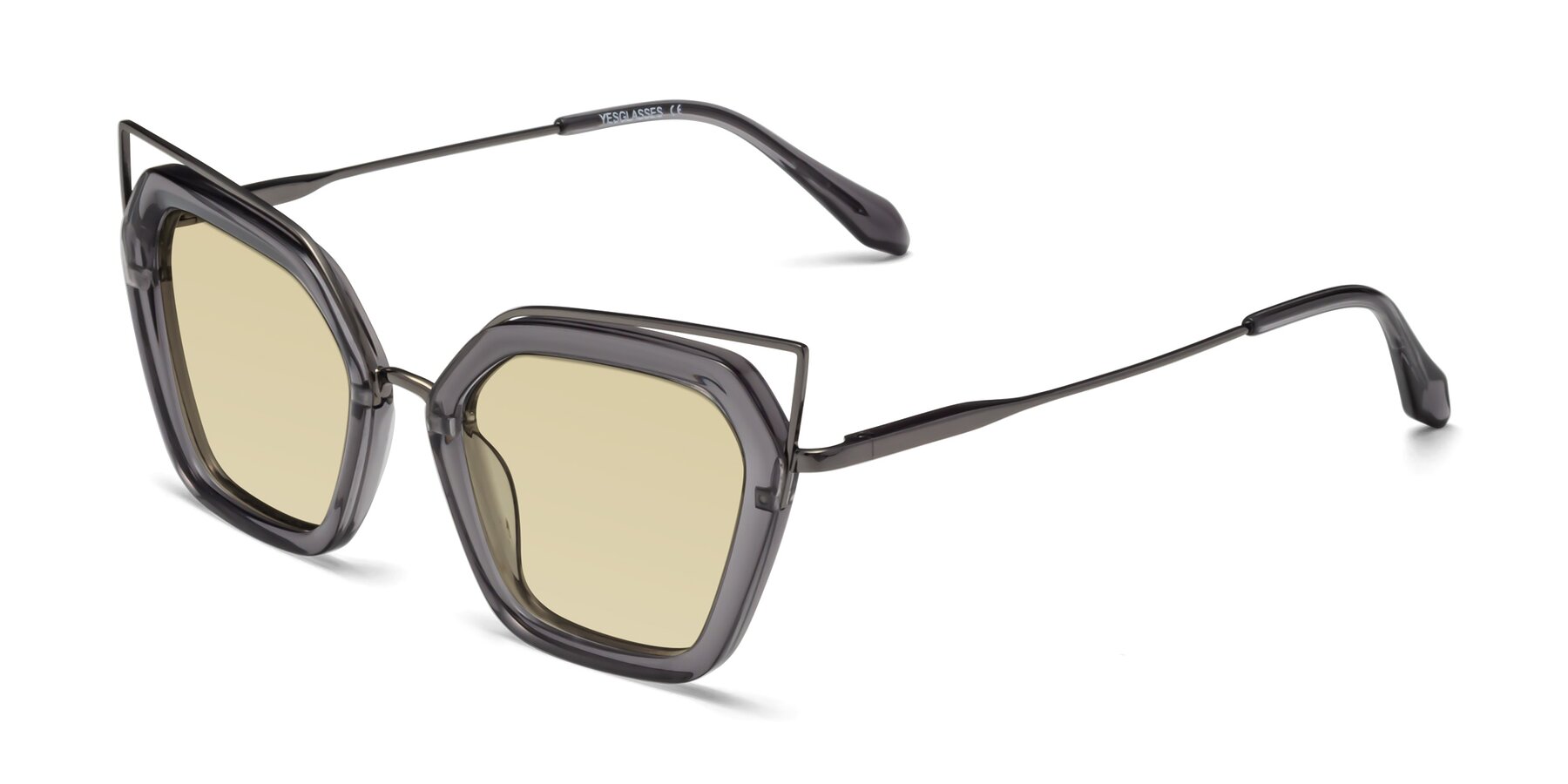 Angle of Delmonte in Transparent Gray with Light Champagne Tinted Lenses