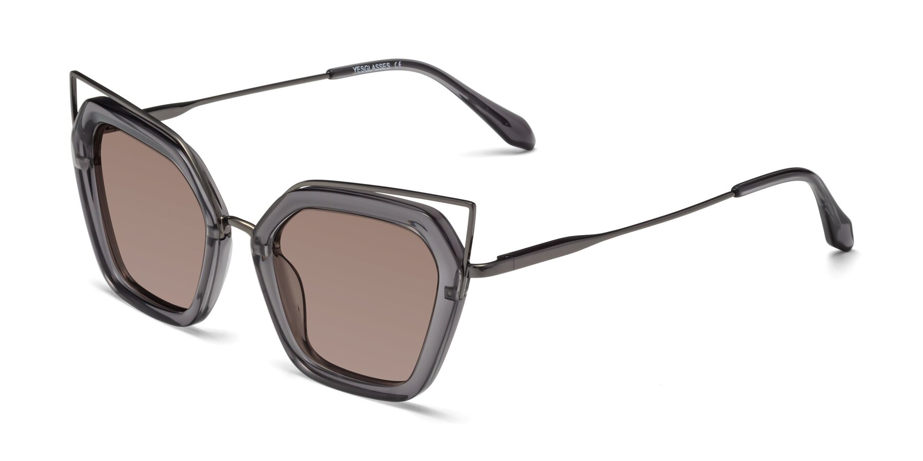 Angle of Delmonte in Transparent Gray with Medium Brown Tinted Lenses