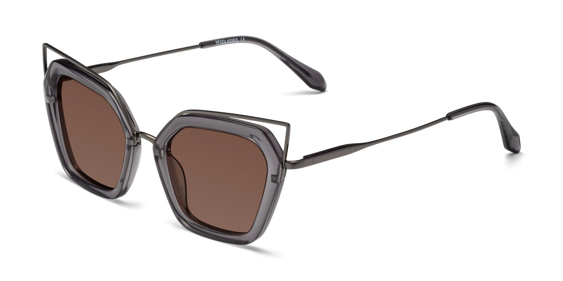 Angle of Delmonte in Transparent Gray with Brown Tinted Lenses