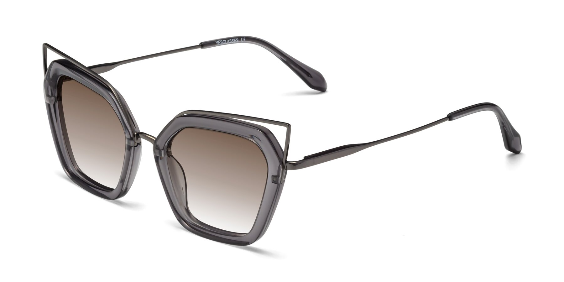 Angle of Delmonte in Transparent Gray with Brown Gradient Lenses