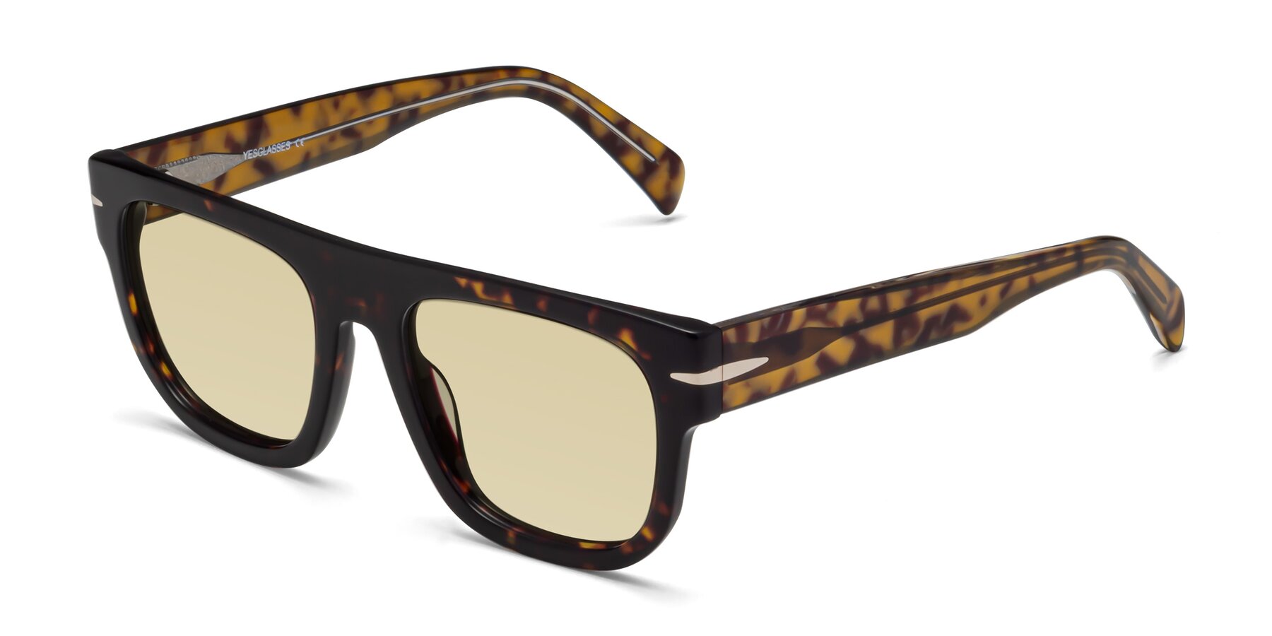 Angle of Campbell in Tortoise with Light Champagne Tinted Lenses