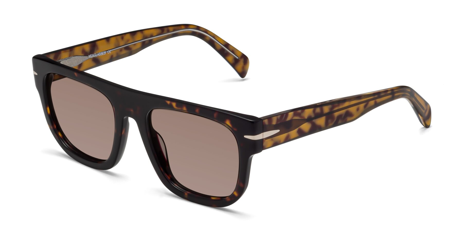 Angle of Campbell in Tortoise with Medium Brown Tinted Lenses
