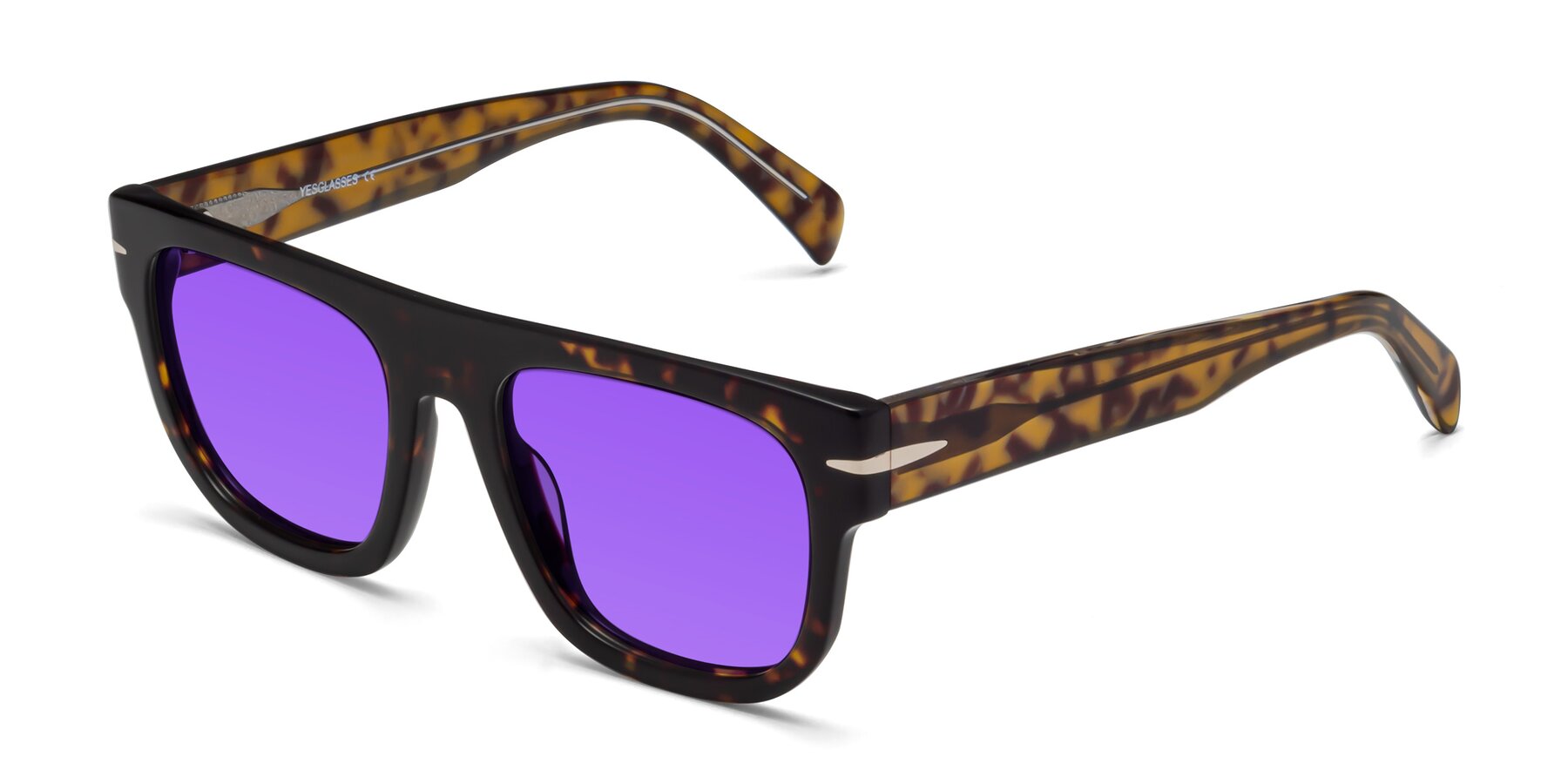 Angle of Campbell in Tortoise with Purple Tinted Lenses