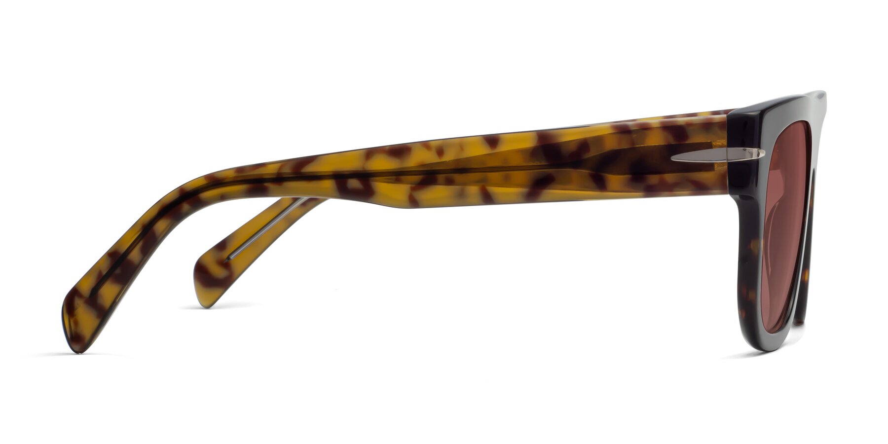 Side of Campbell in Tortoise with Garnet Tinted Lenses