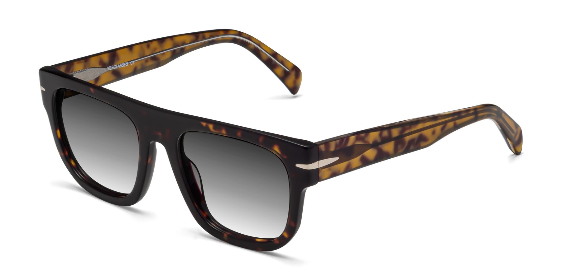Angle of Campbell in Tortoise with Gray Gradient Lenses