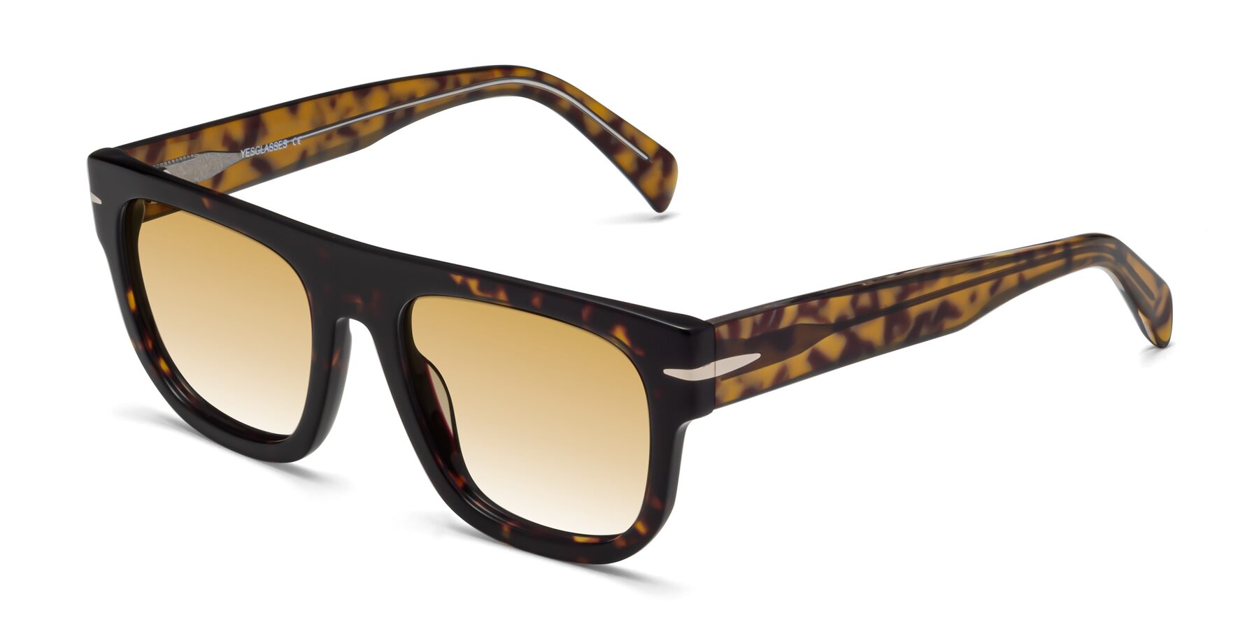 Angle of Campbell in Tortoise with Champagne Gradient Lenses