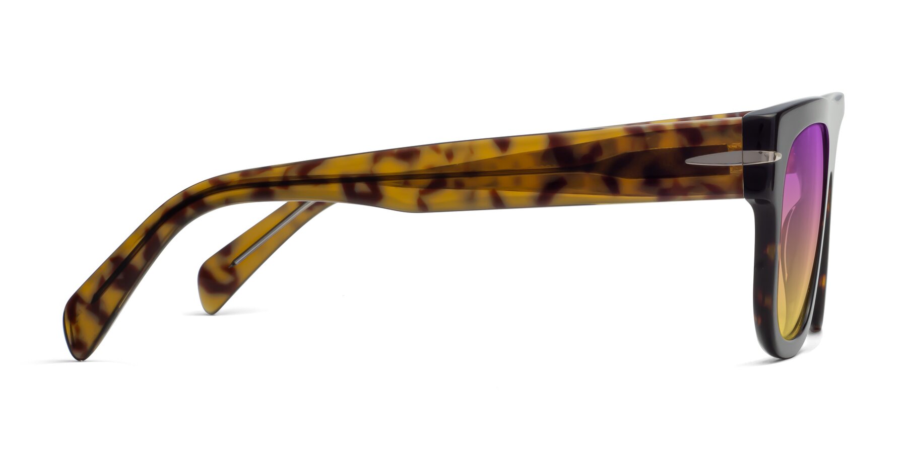 Side of Campbell in Tortoise with Purple / Yellow Gradient Lenses
