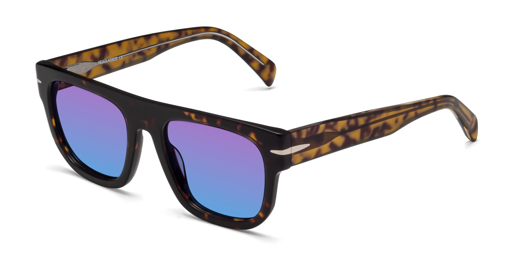 Angle of Campbell in Tortoise with Purple / Blue Gradient Lenses