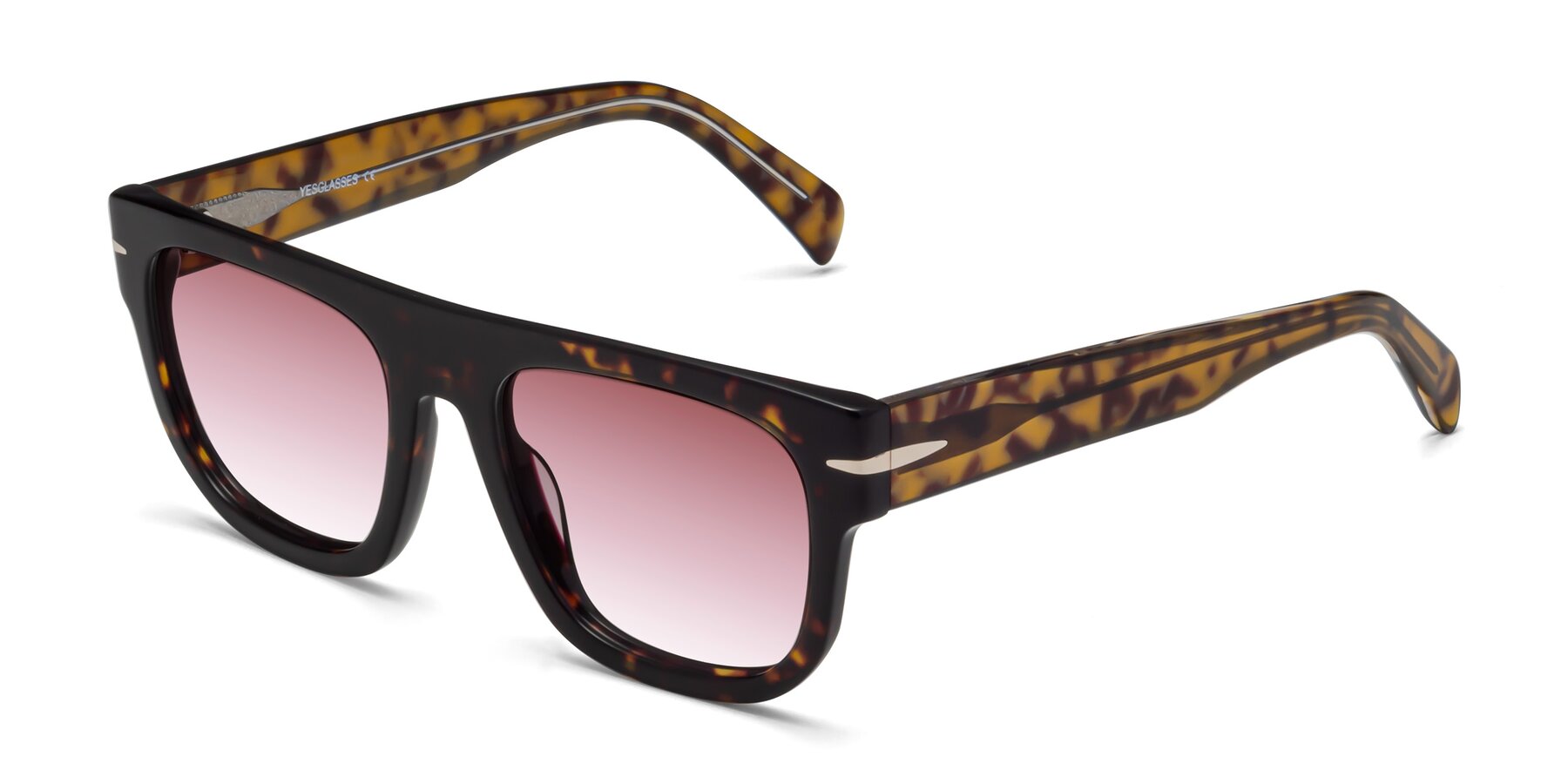 Angle of Campbell in Tortoise with Garnet Gradient Lenses