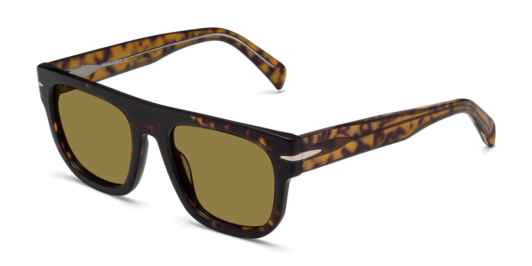 Angle of Campbell in Tortoise with Brown Polarized Lenses