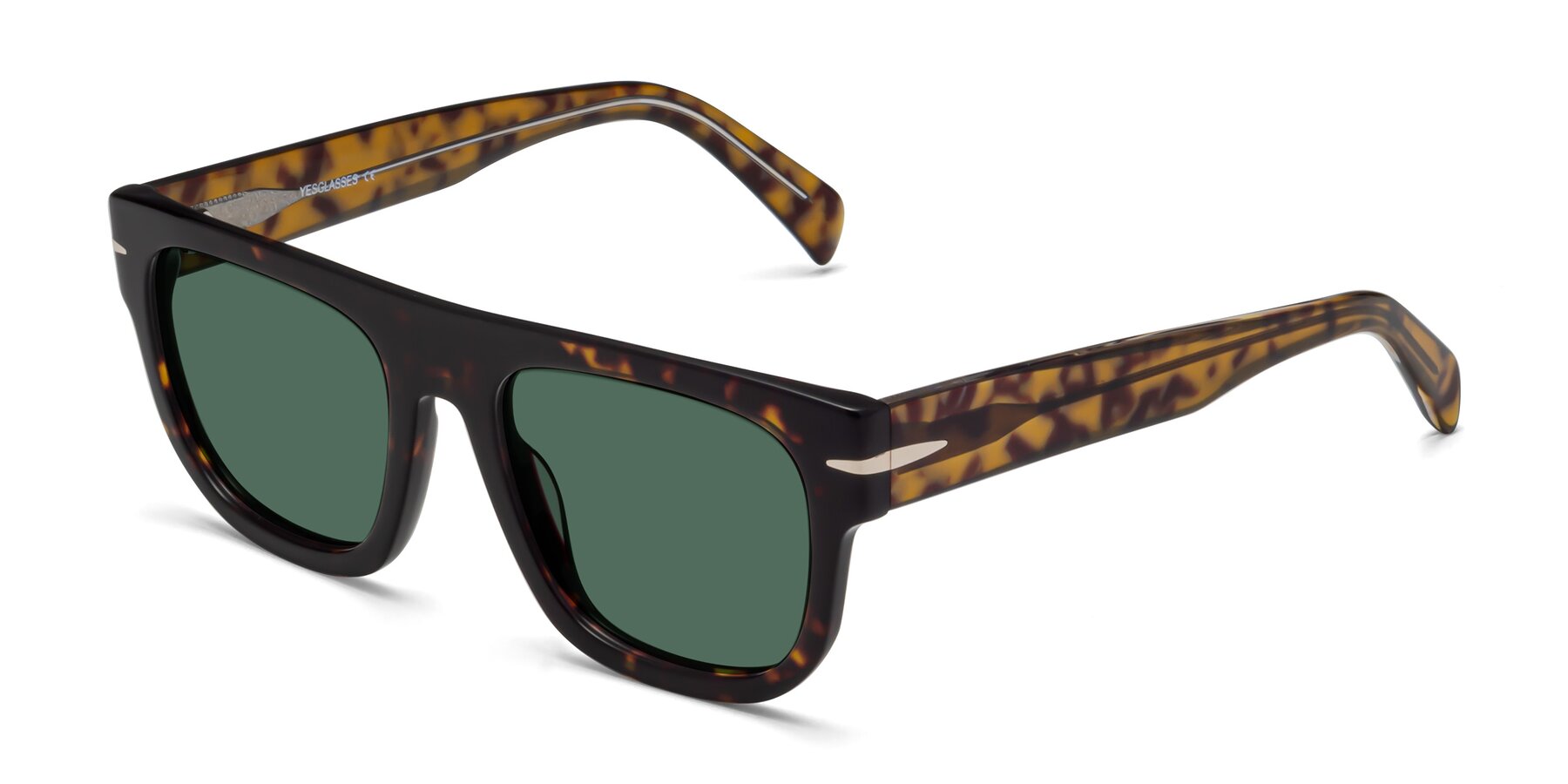 Angle of Campbell in Tortoise with Green Polarized Lenses