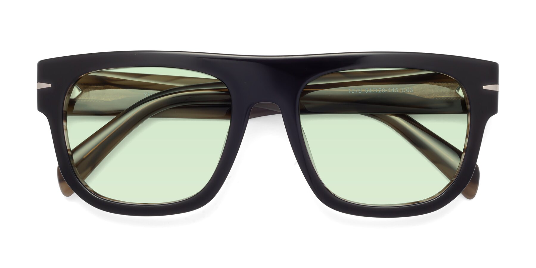 Folded Front of Campbell in Black-Stripe Brown with Light Green Tinted Lenses