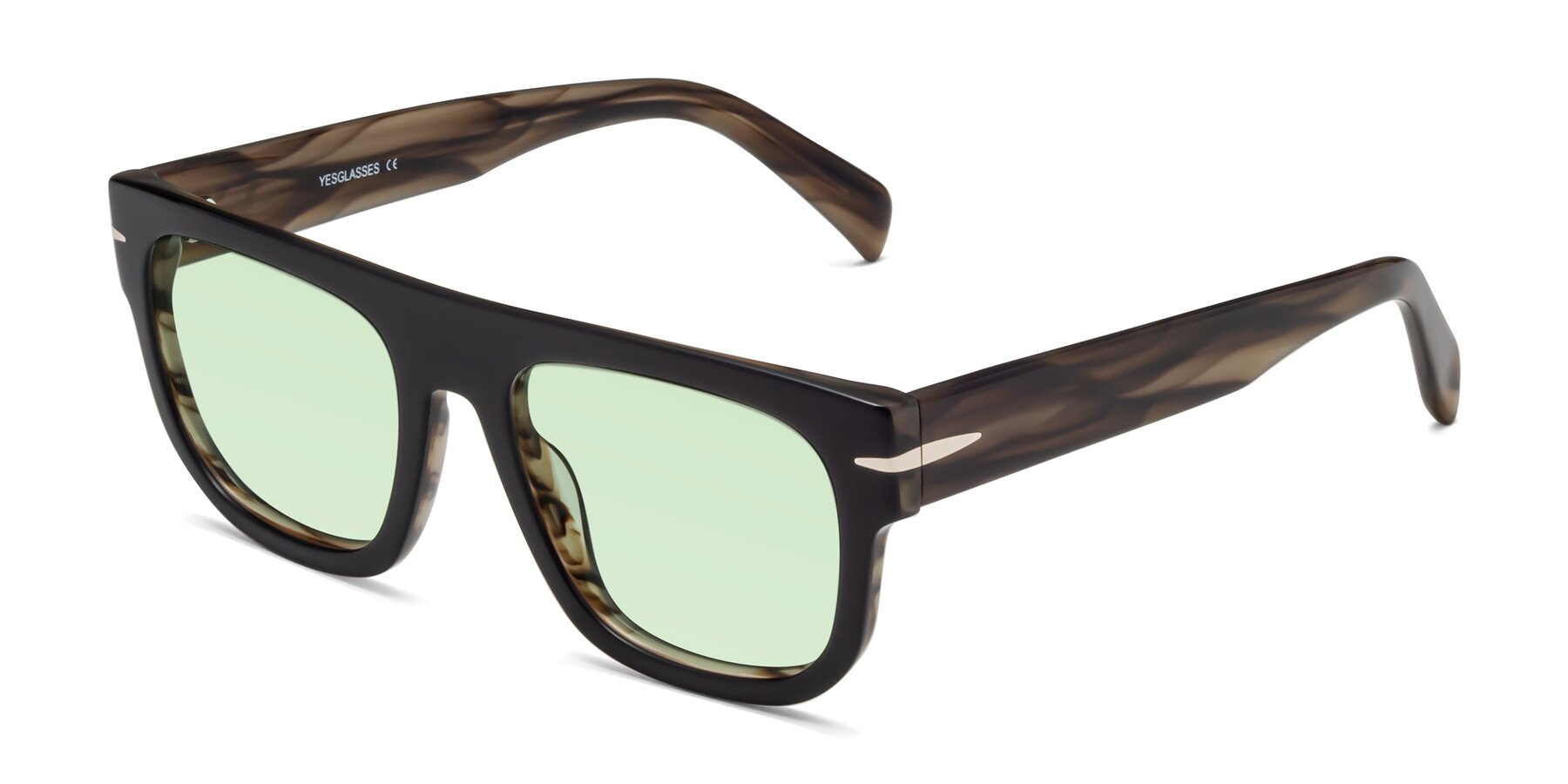Angle of Campbell in Black-Stripe Brown with Light Green Tinted Lenses