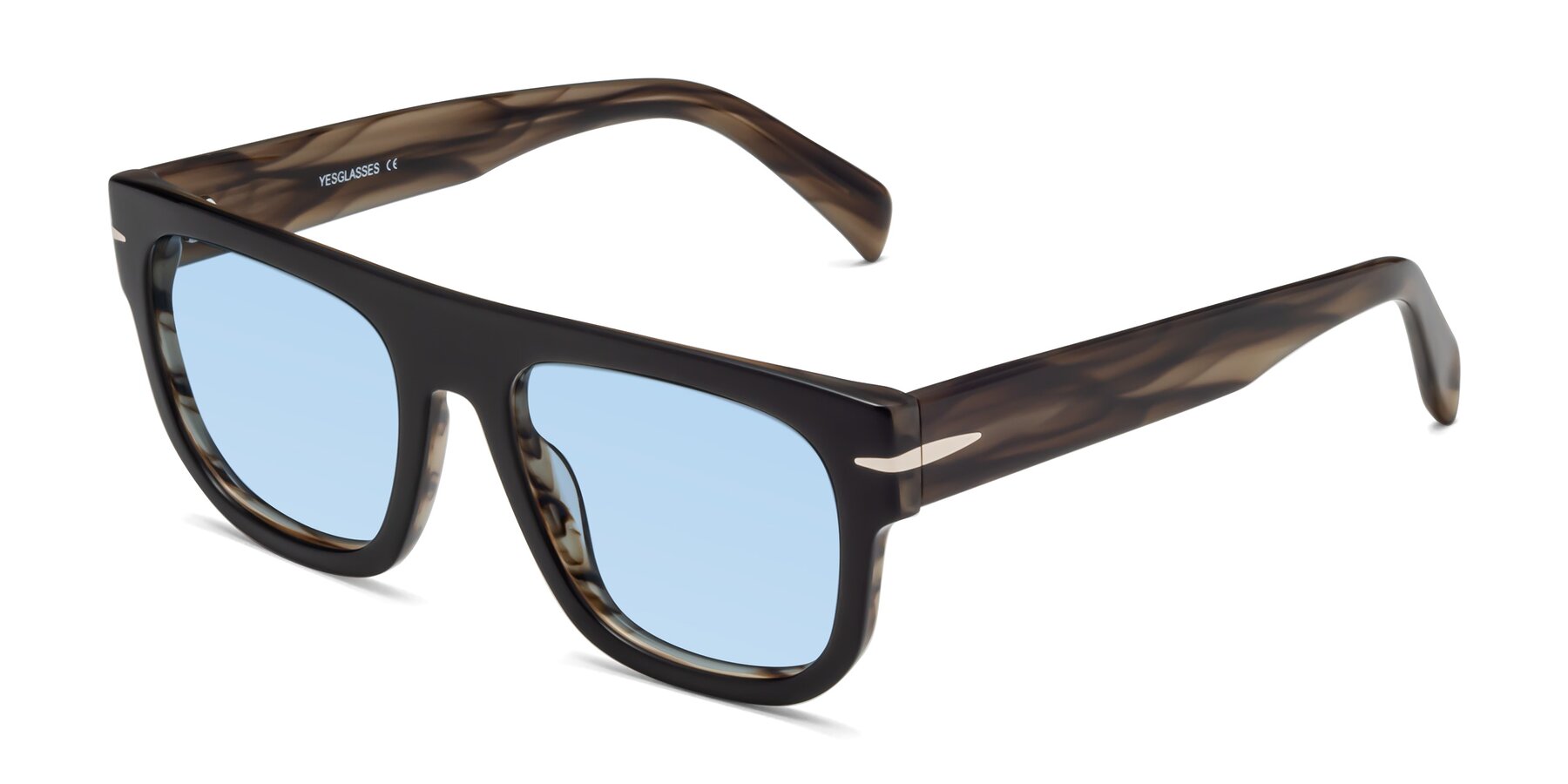 Angle of Campbell in Black-Stripe Brown with Light Blue Tinted Lenses