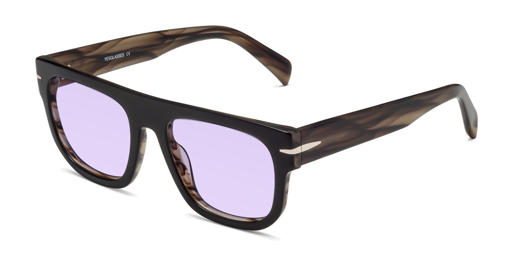Angle of Campbell in Black-Stripe Brown with Light Purple Tinted Lenses