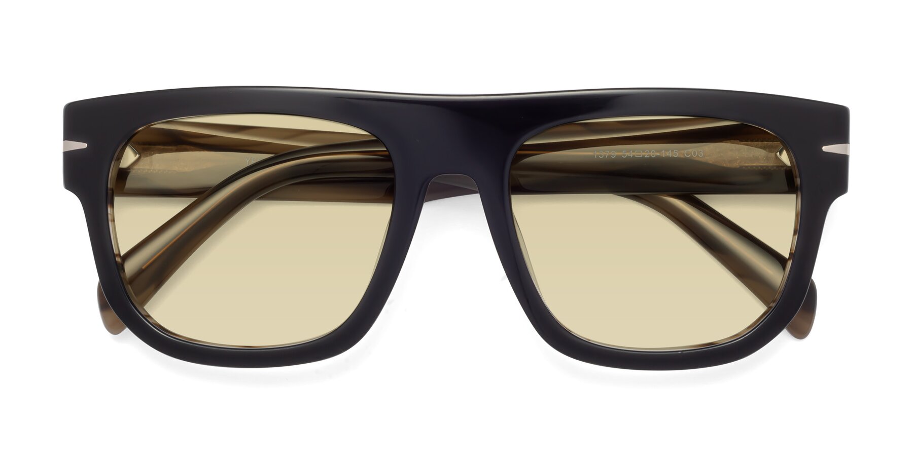 Folded Front of Campbell in Black-Stripe Brown with Light Champagne Tinted Lenses
