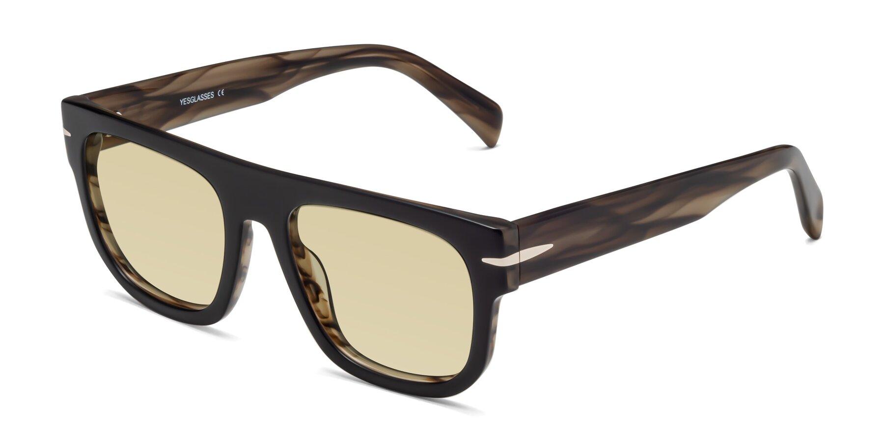 Angle of Campbell in Black-Stripe Brown with Light Champagne Tinted Lenses