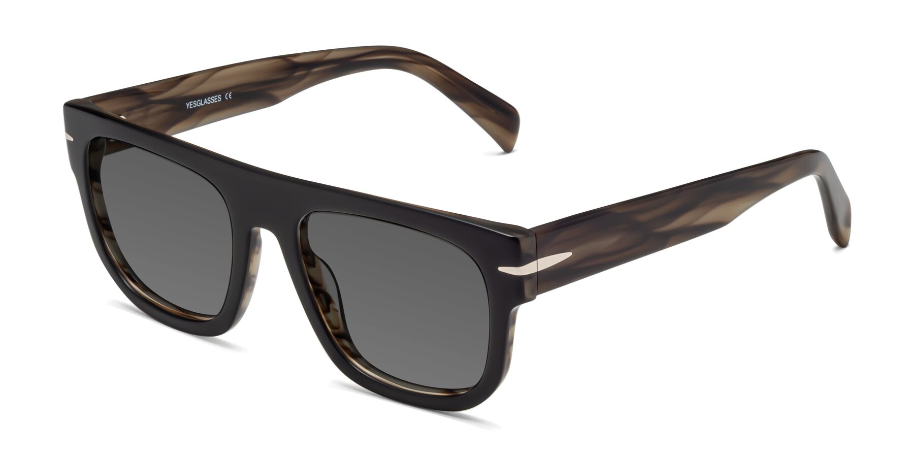 Angle of Campbell in Black-Stripe Brown with Medium Gray Tinted Lenses