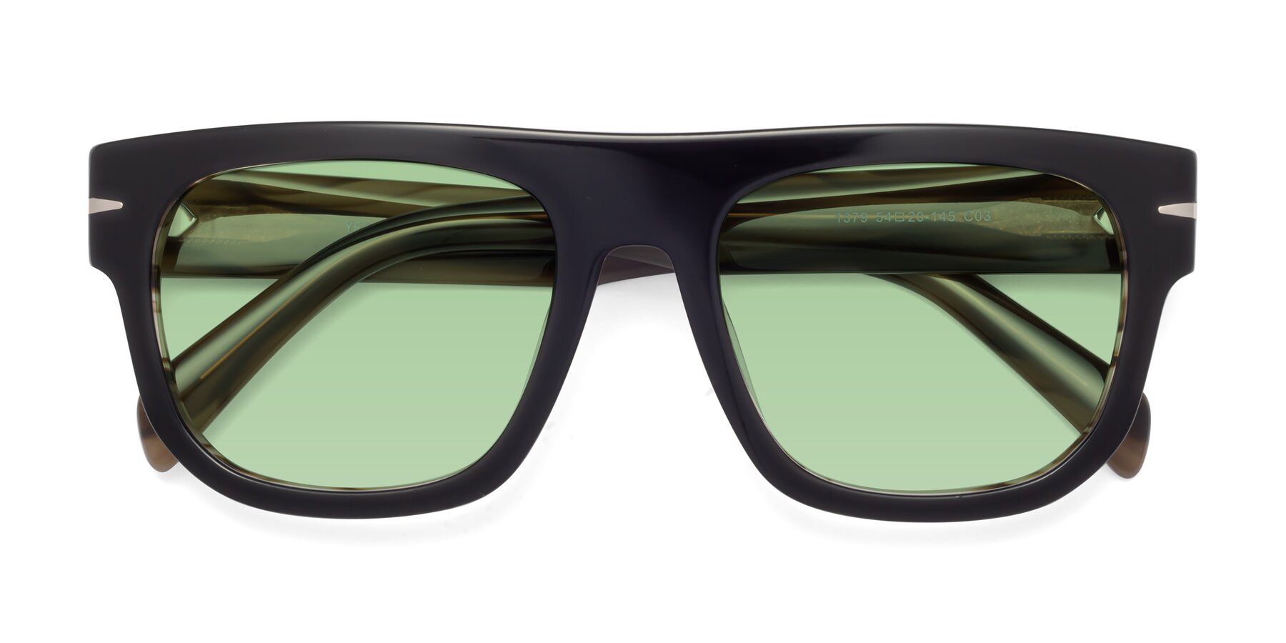 Folded Front of Campbell in Black-Stripe Brown with Medium Green Tinted Lenses