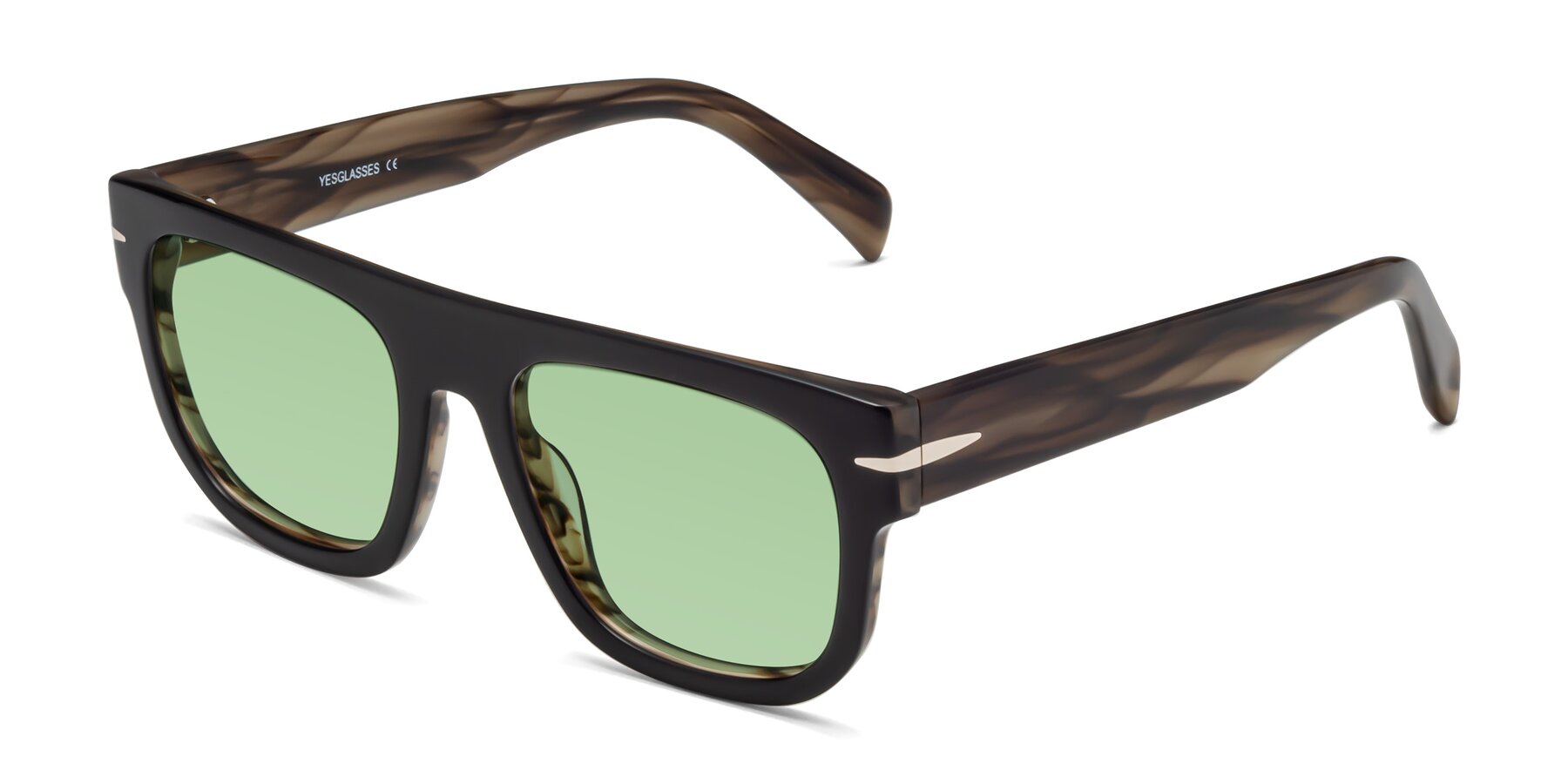 Angle of Campbell in Black-Stripe Brown with Medium Green Tinted Lenses